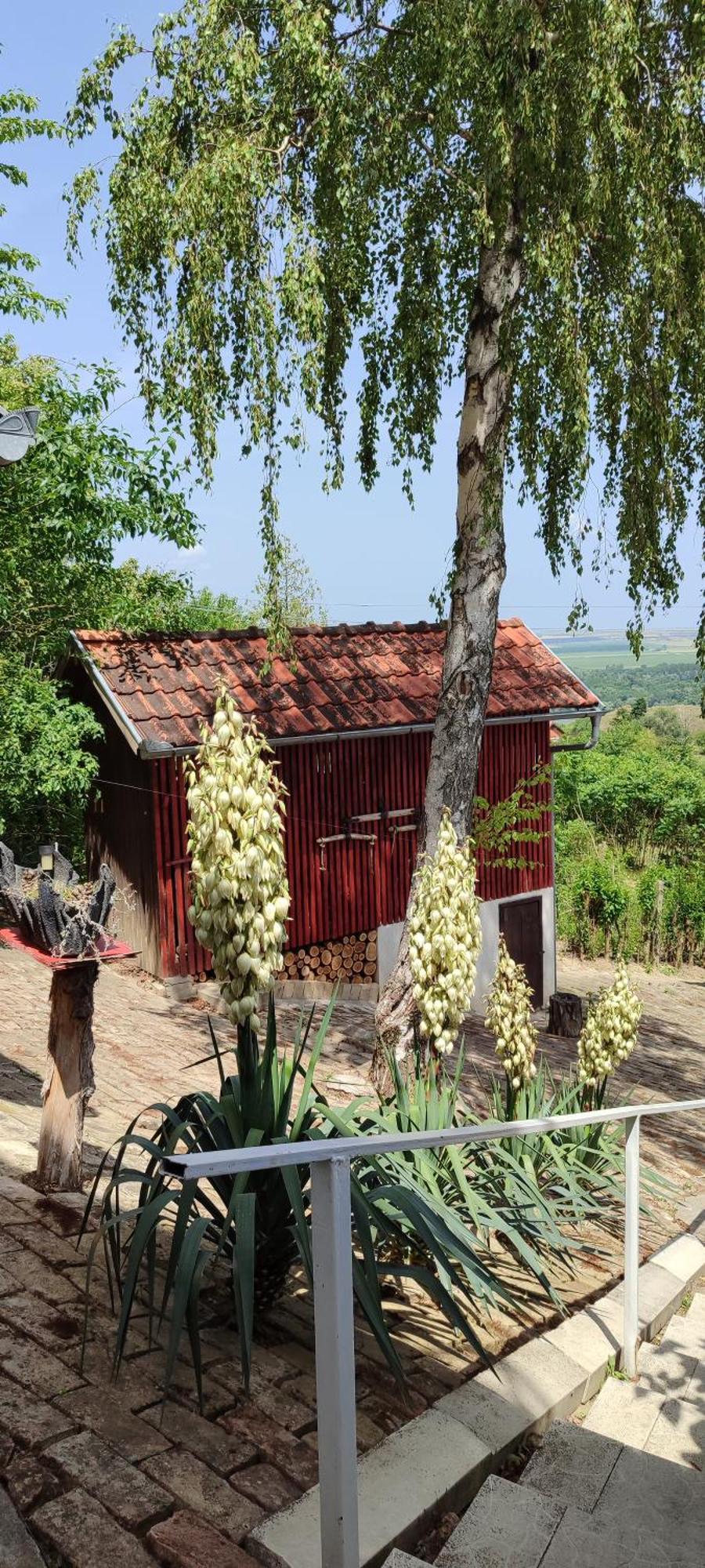 فيلا Stari Slankamenفي House 33 المظهر الخارجي الصورة